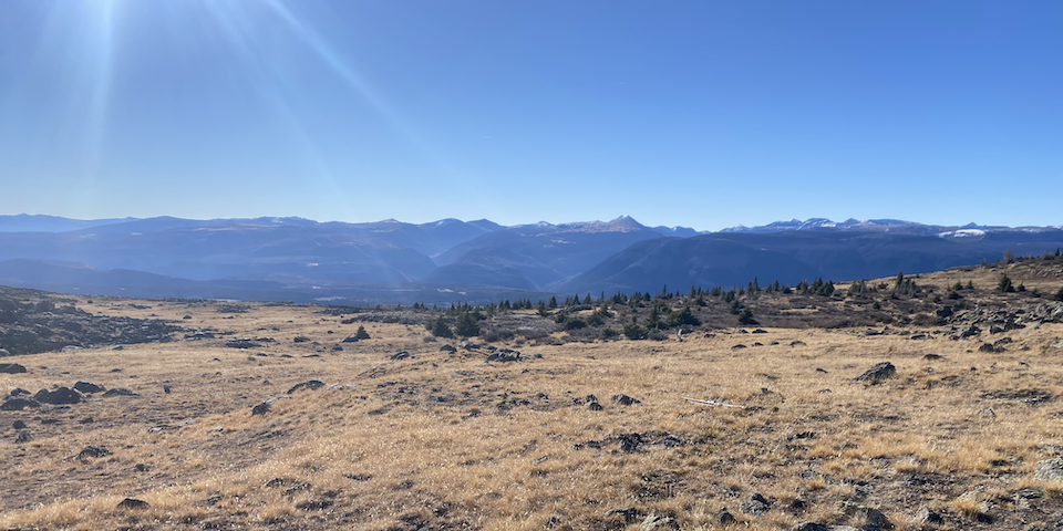 Playing the Colorado Preference Point Game Pays Off!