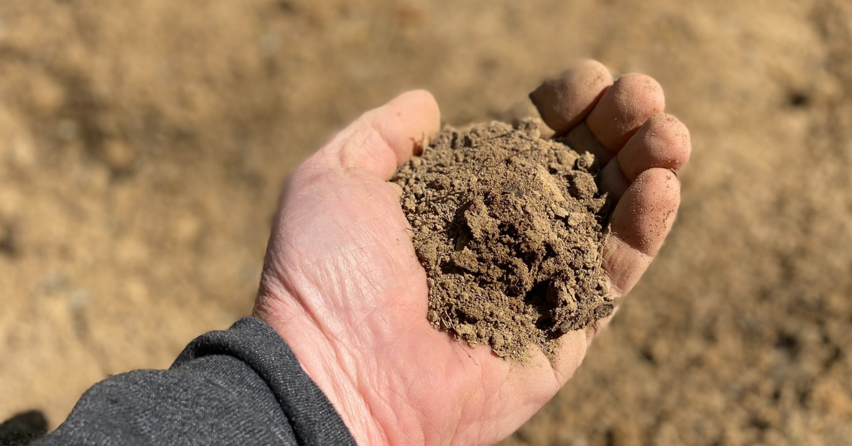 How to Take a Soil Sample for Food Plots