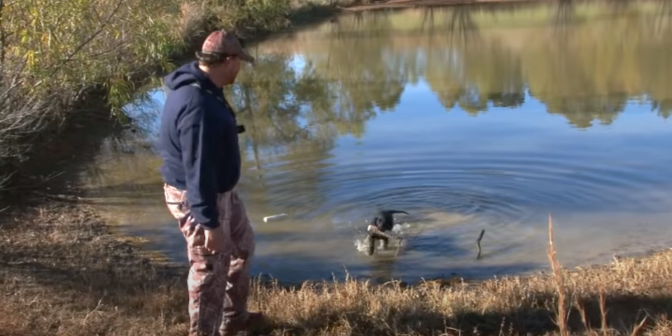 Limits of Small Water Puddle Ducks | The Waterfowl Collective – Ep. 11