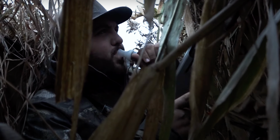 The Waterfowl Collective | Field Ducks in the Rain