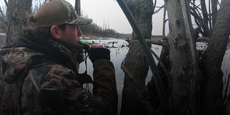 The Waterfowl Collective | Public Land Mallards