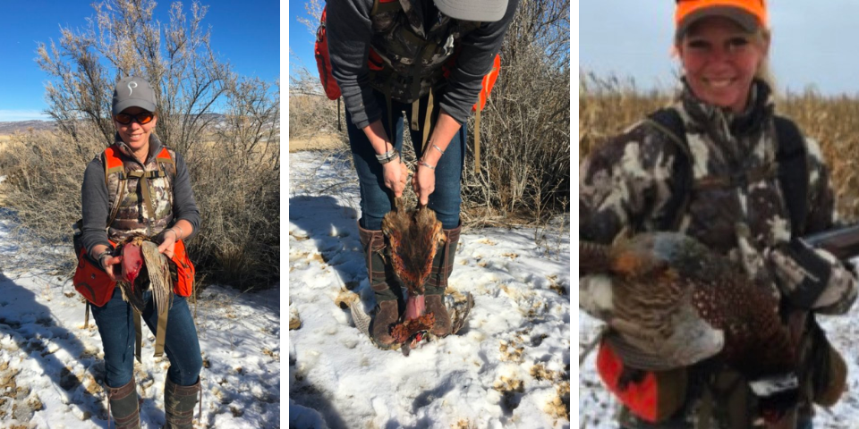 Quick Pheasant Care in the Field