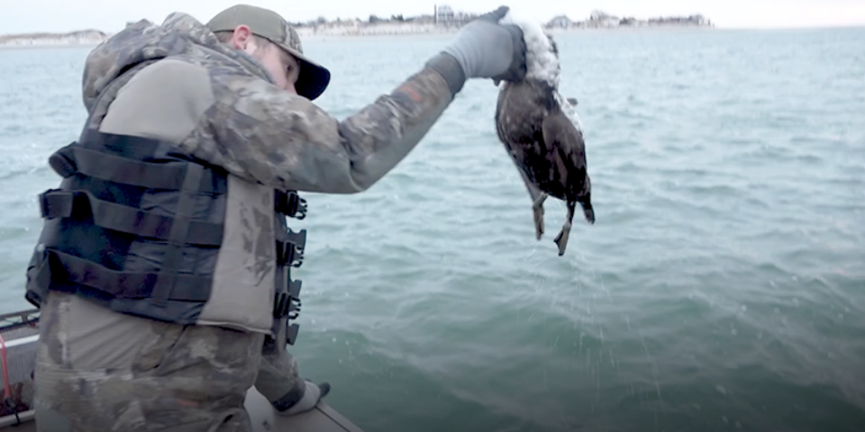 The Waterfowl Collective | Sea Duck Hunting in Massachusetts