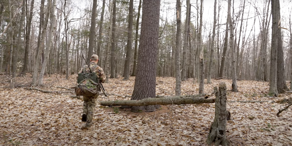 Turkey Hunting in Massachusetts