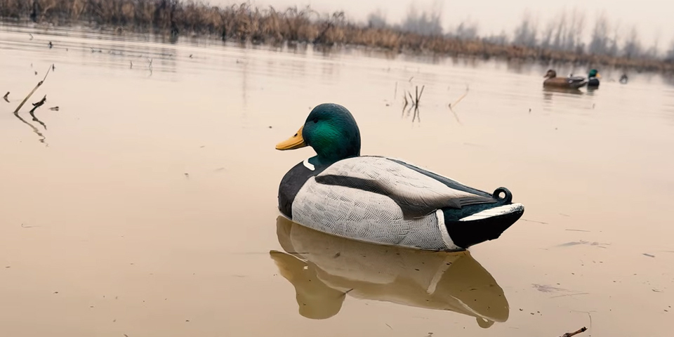 The Most Underrated Decoy in Duck Hunting